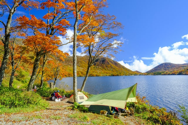 秋キャンプの景色