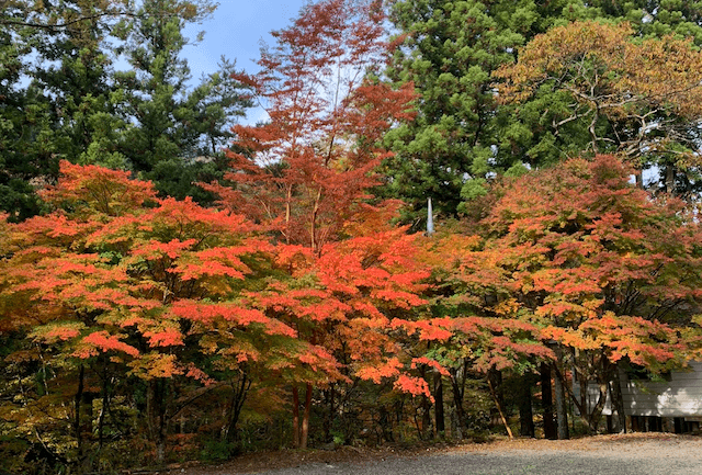 【山梨】道志の森キャンプ場