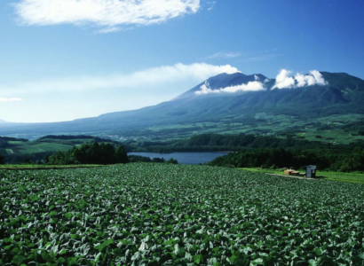 群馬県嬬恋村にてふるさとズ導入！無印良品カンパーニャ嬬恋キャンプ場の魅力を紹介します