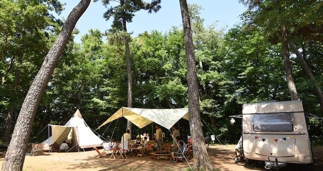 清水公園